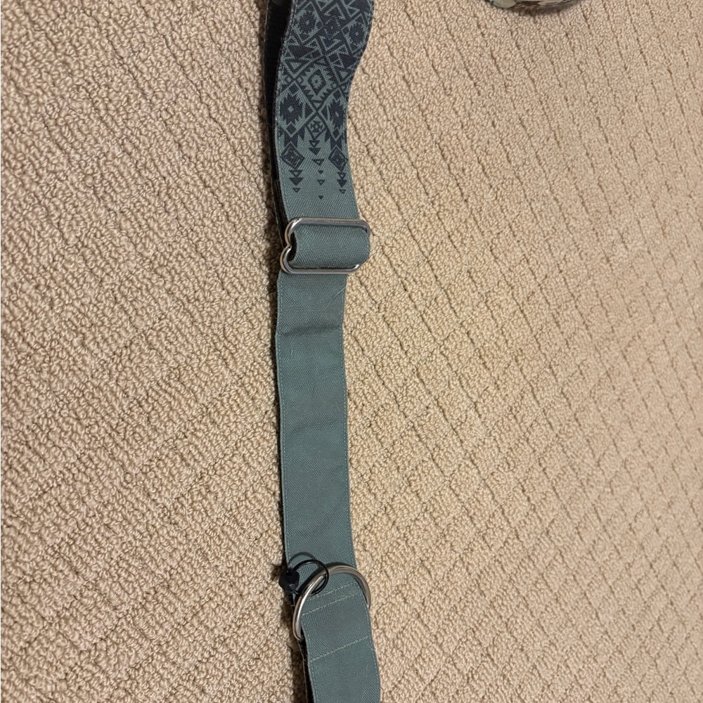 Stylish Green Dog Collar by Helloshibe